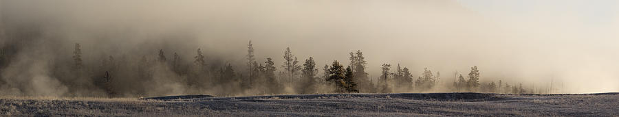 Yellowstone National Park Photograph - Pines in the Mist by Twenty Two North Photography
