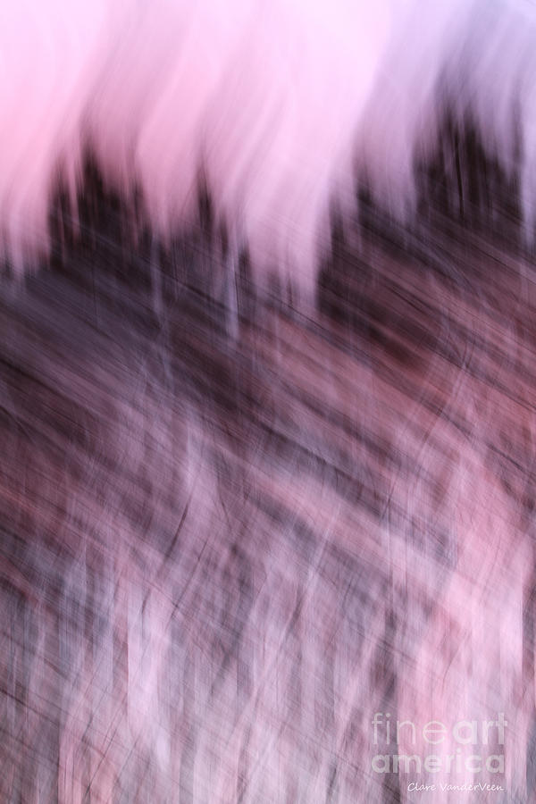 Pink Abstract Photograph by Clare VanderVeen
