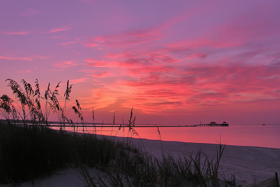 Nature Photograph - Pink and purple dawn by Brian Wright