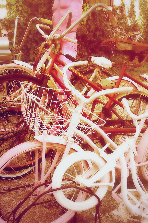 Vintage Girls Bikes Photograph by Toni Hopper