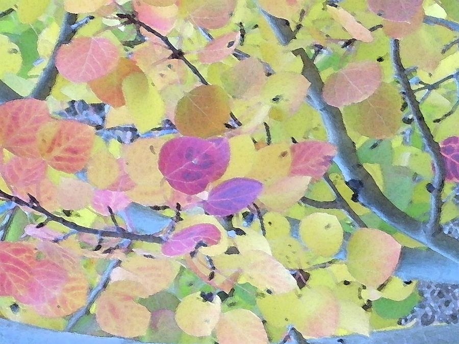 Abstract Digital Art - Pink Aspen Leaves by Bill Kennedy Abstract Digital Art - Pink Aspen Leaves by Bill Kennedy