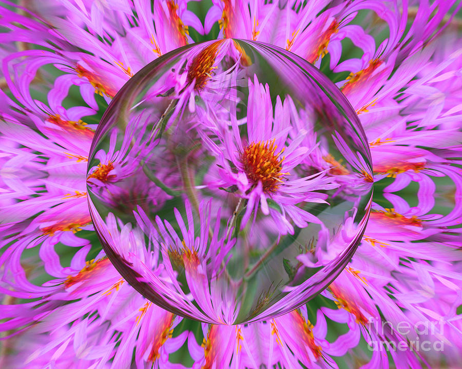 Pink Asters Energy Digital Art by Smilin Eyes Treasures