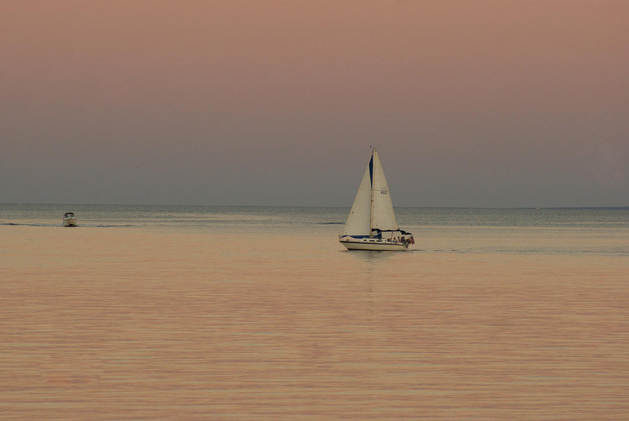 Pink at Night a Sailors Delight Photograph by Margie Avellino