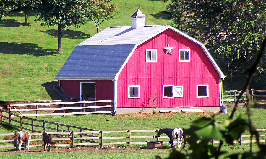 Pink Barn in the Summer Photograph by Duane McCullough