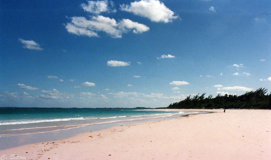 Pink Beach Photograph by C Sitton