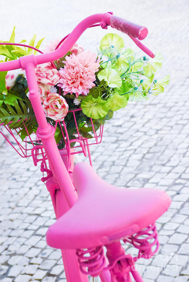 Pink Bicycle Photograph by Carlos Caetano