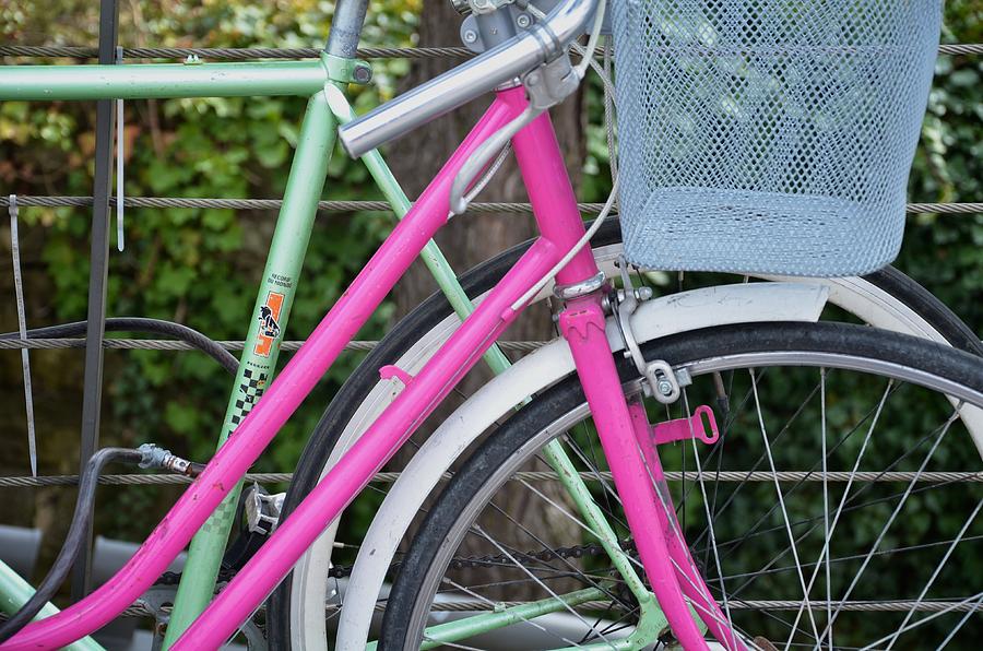 Pink Bike Photograph by Catherine Murton