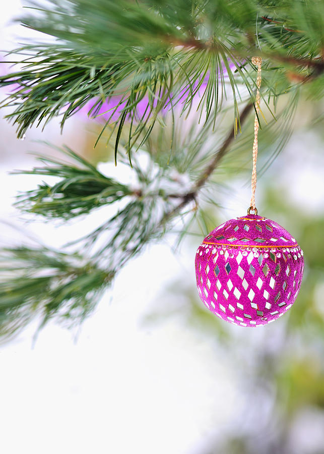 Pink Christmas ornament on snowy pine tree branch  Photograph by Marianne Campolongo