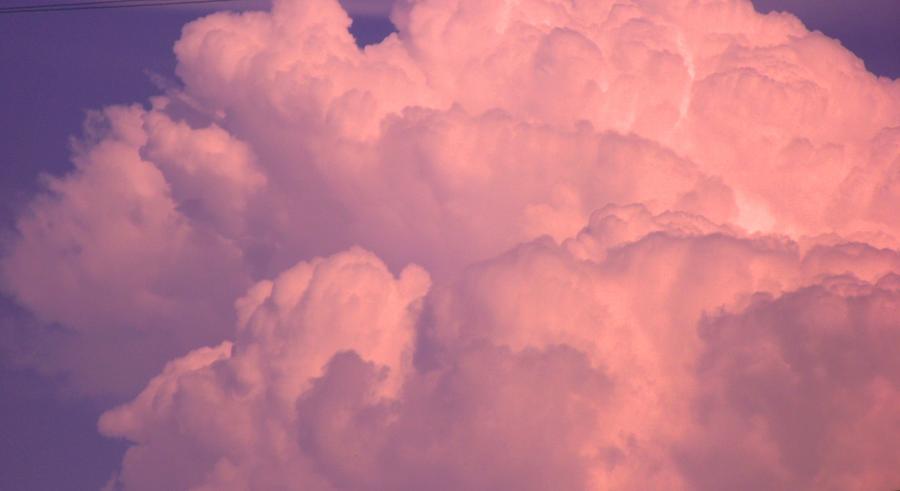 Pink clouds at Sunset Photograph by Jayne Kerr 