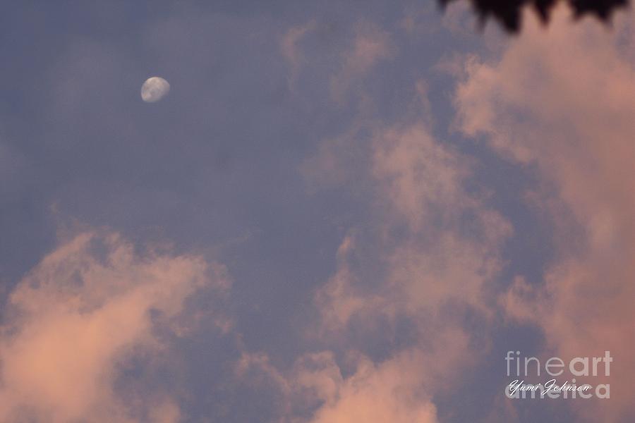 Pink clouds with Moon Photograph by Yumi Johnson