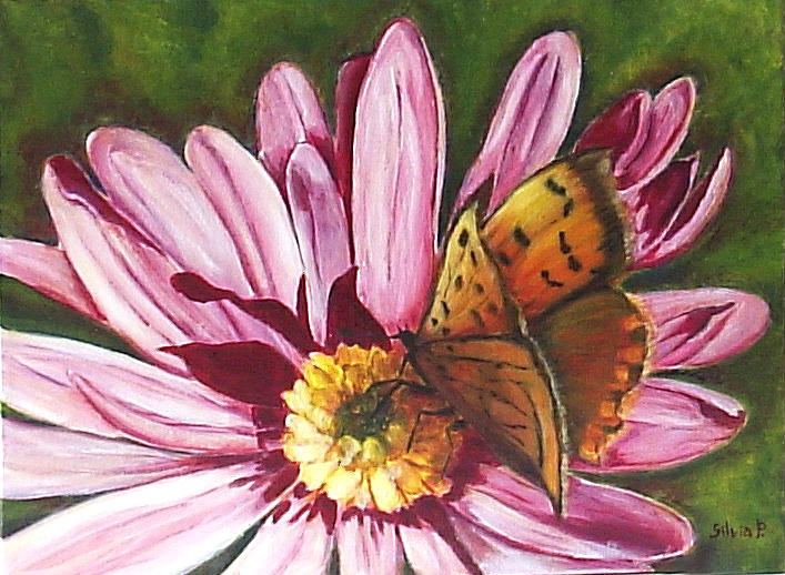 Pink daisy and butterfly Painting by Silvia Philippsohn