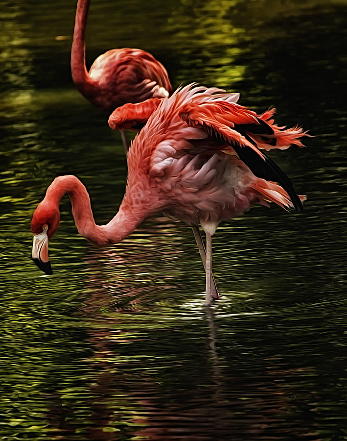 Pink Flamingo Photograph by Linda Tiepelman