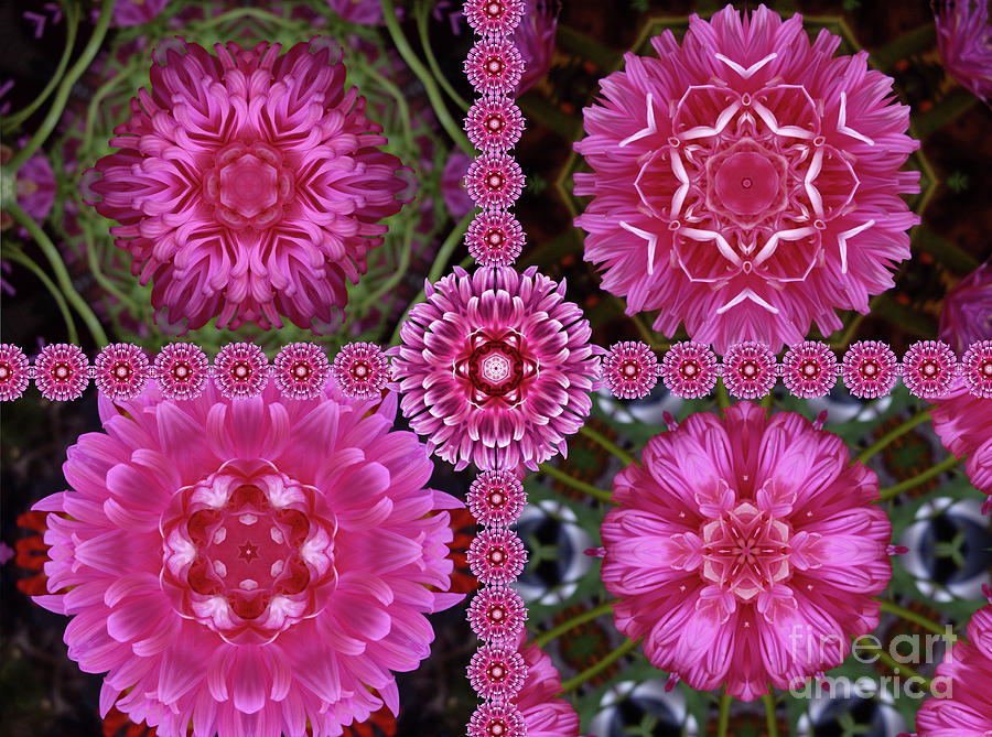 Pink Flower Collage Digital Art