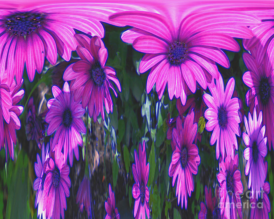 Pink Flower Power Digital Art by Smilin Eyes Treasures