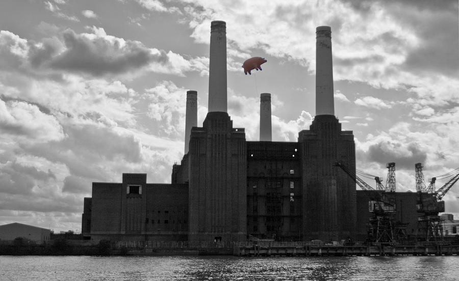 Pink Floyd Photograph - Pink Floyd Pig at Battersea by Dawn OConnor