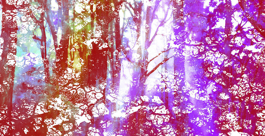 Nature Digital Art - Pink Forest by Phill Petrovic