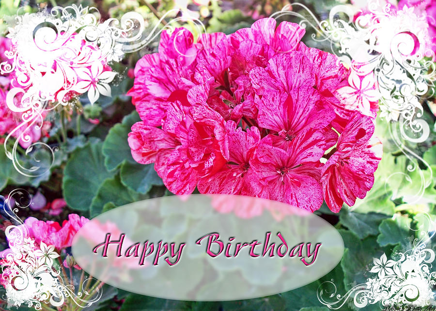 Pink Geranium Greeting card Birthday Photograph by Debbie Portwood ...