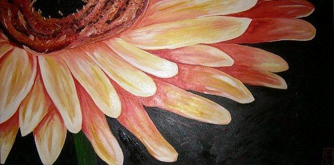 Daisy Painting - Pink Gerber by Holly Donohoe