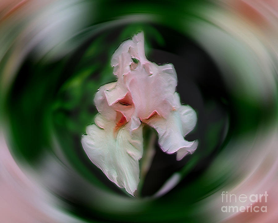 Pink Iris Energies Digital Art by Smilin Eyes Treasures