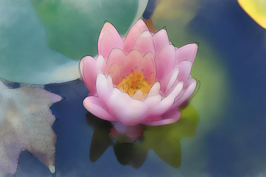 Pink Lotus Digital Art by Brandon Bourdages
