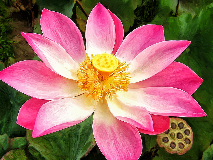 Pink Lotus Painting by Dominic Piperata