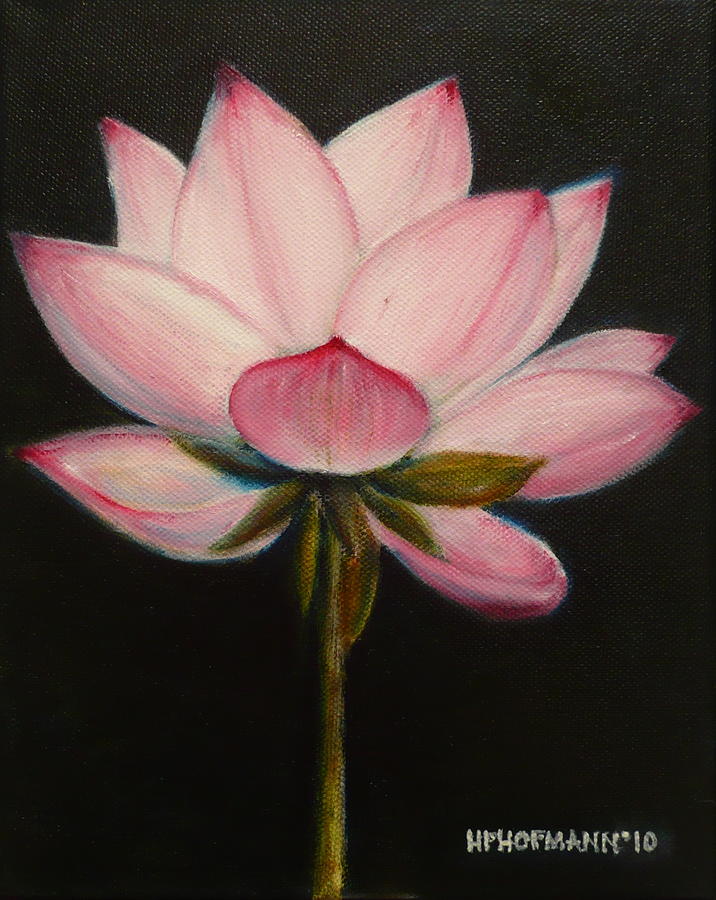 Pink Lotus Painting by Hugo Palomares - Fine Art America