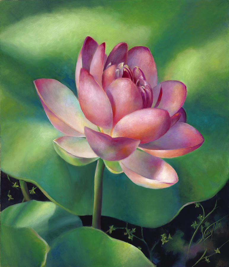 Pink Lotus Water Lily Painting by Nancy Tilles