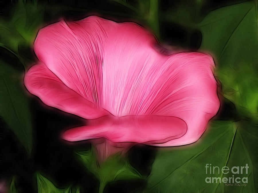 Pink Flower Photograph - Pink Mallow by Kathie McCurdy