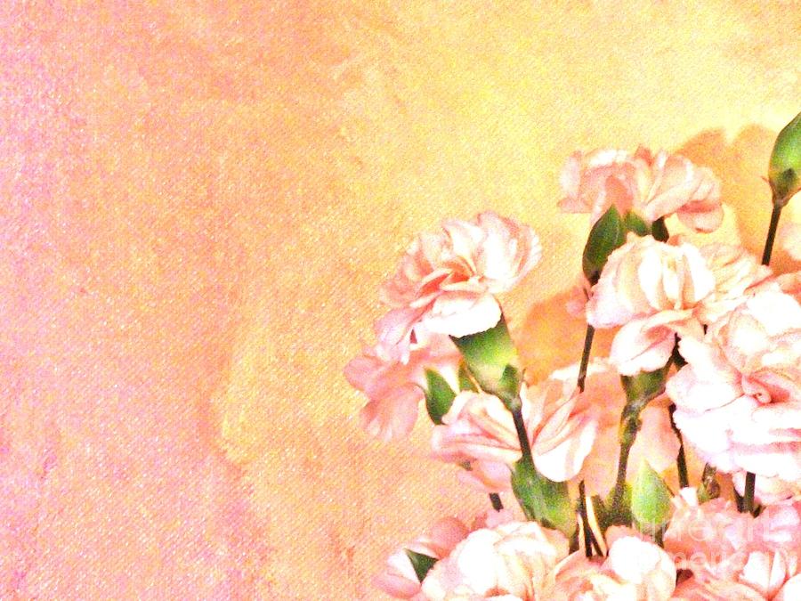 Photo Photograph - Pink On Yellow by Marsha Heiken Photo Photograph - Pink On Yellow by Marsha Heiken