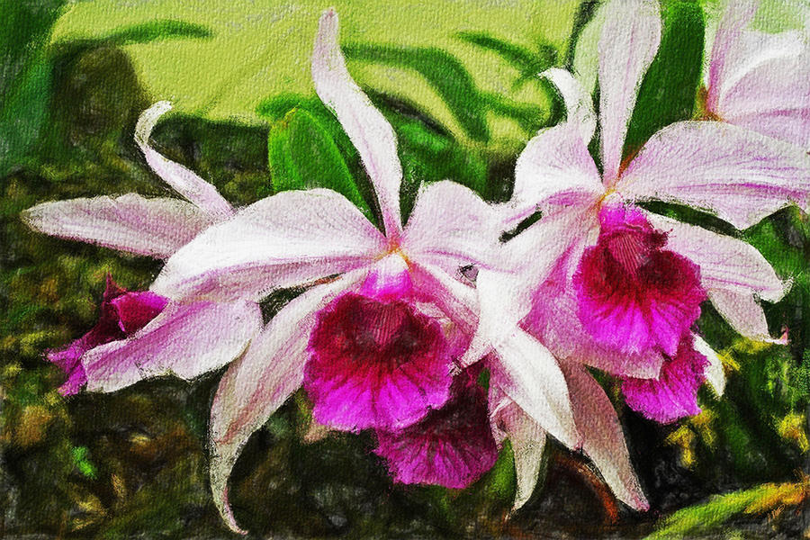 Pink Orchids 301 Painting by Dean Wittle