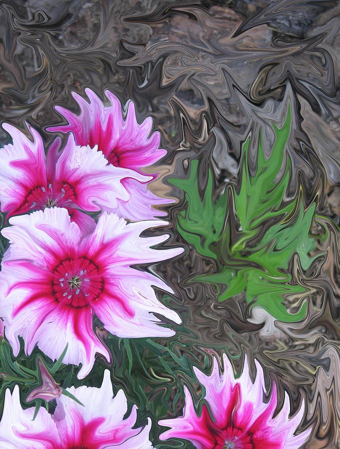 Flower Digital Art - Pink Passion by Linda Bylsma