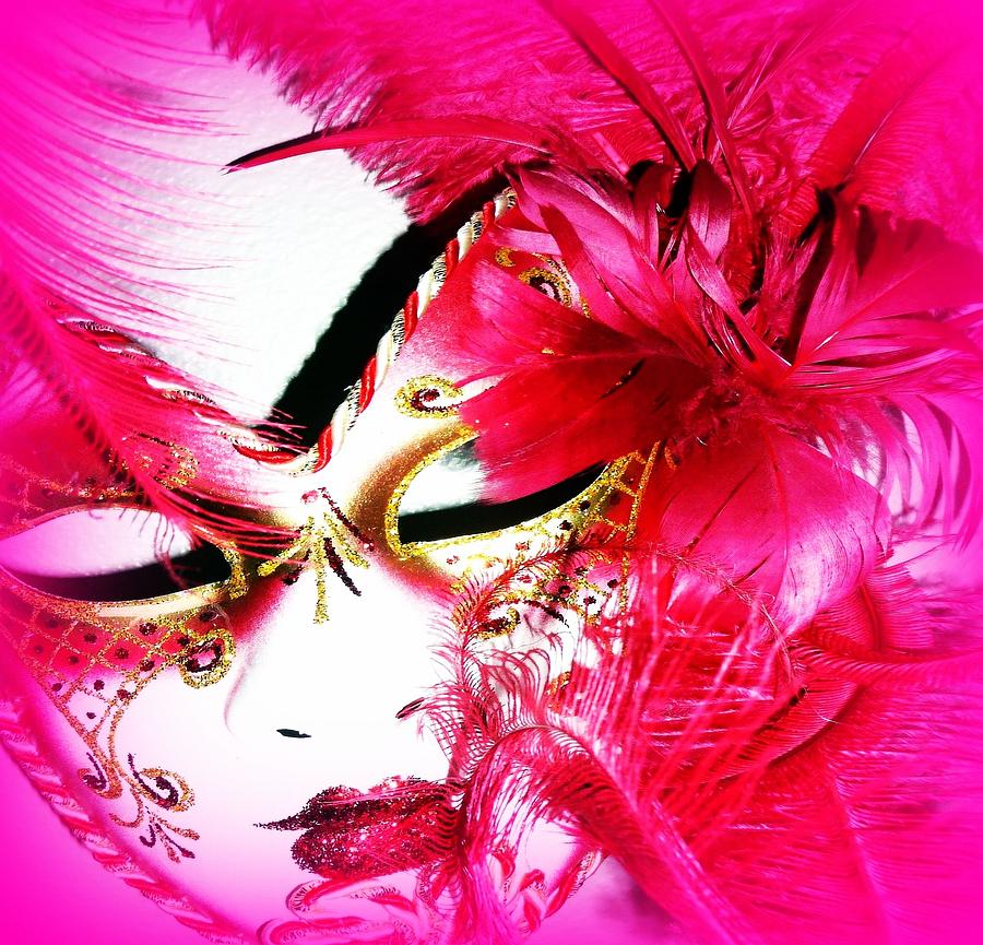 Feather Photograph - Pink Passion by Lori Seaman