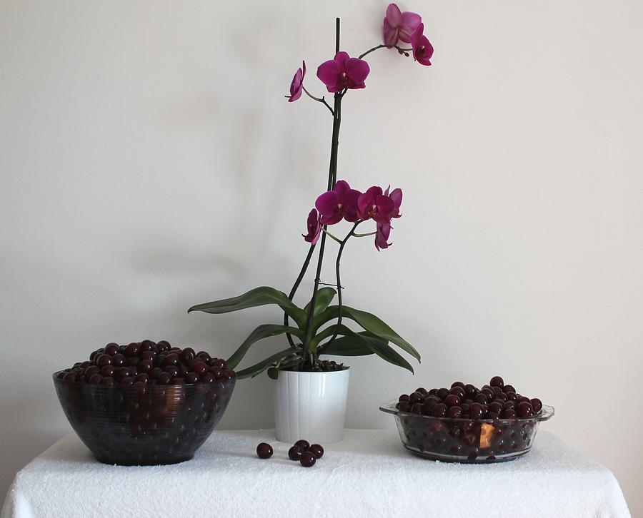 Flower Painting - Pink Phalaenopsis Orchid and Sour Cherries by Georgeta  Blanaru