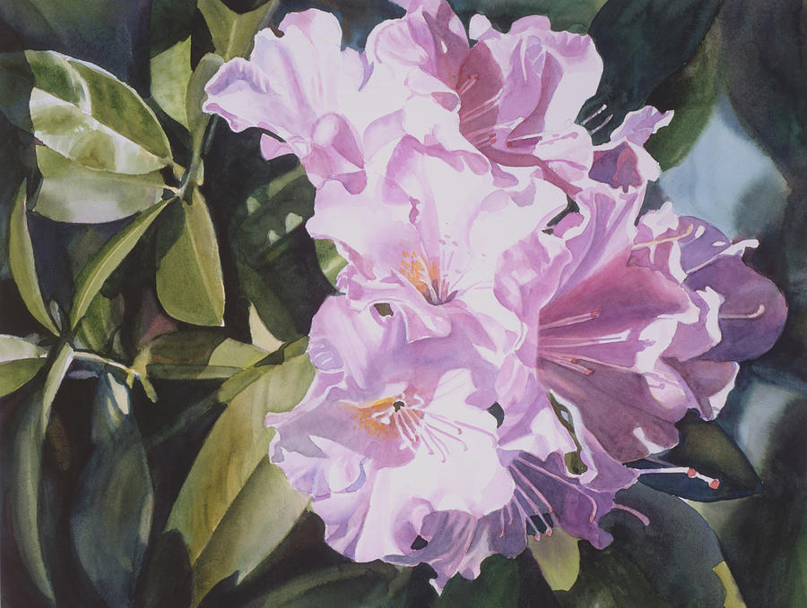 Flower Painting - Pink Rhododendron by Sharon Freeman