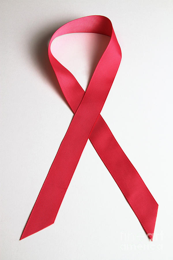 Pink Ribbon Photograph by Photo Researchers, Inc.