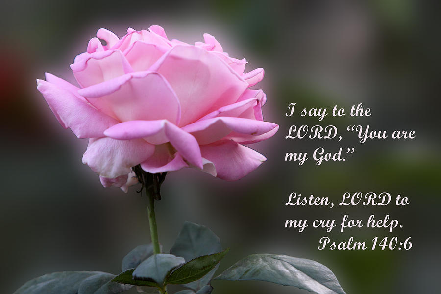 Pink Rose Profile With Leaves Ps 140v6 Photograph by Linda Phelps