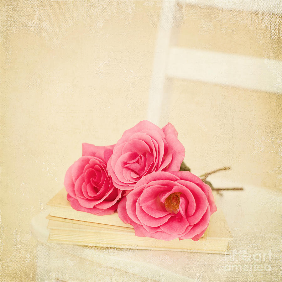 Book Photograph - Pink Roses Laying on a Book by Kim Fearheiley