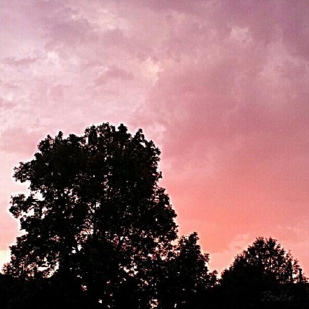 Tree Photograph - Pink Sky At Night. #pink #sky #sunset by Jess Gowan