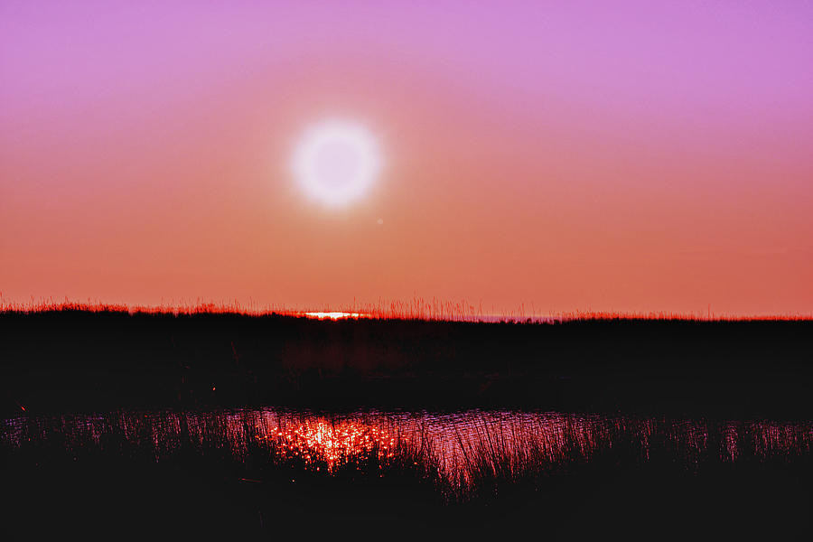 Pink Sky Over the Marsh Photograph by Kelly Reber