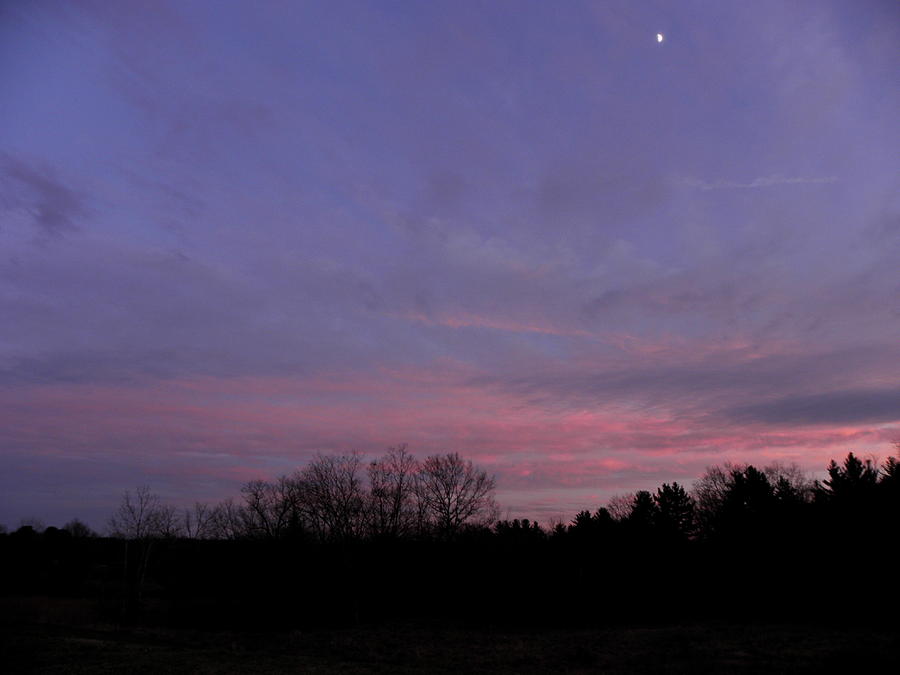 Pink Skys Above Photograph by Kim Galluzzo