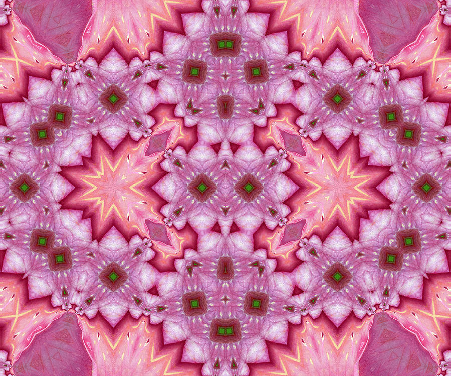 Abstract Mixed Media - Pink Splash Mandala Abstract by Georgiana Romanovna