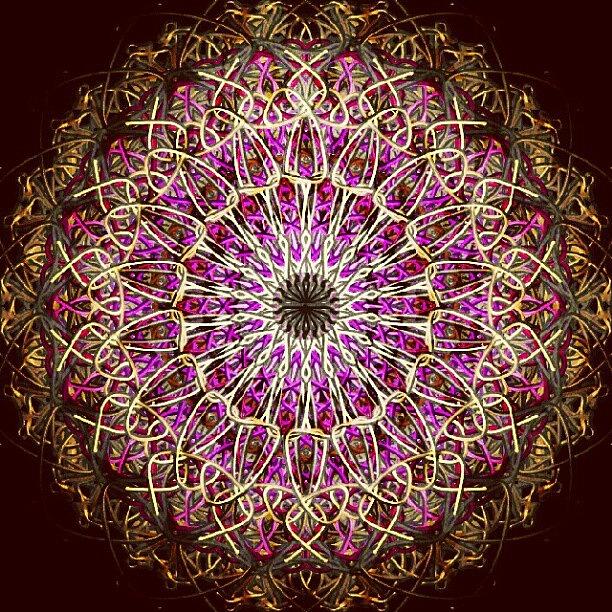 Pattern Photograph - Pink Sun Mandala by Vicki Field