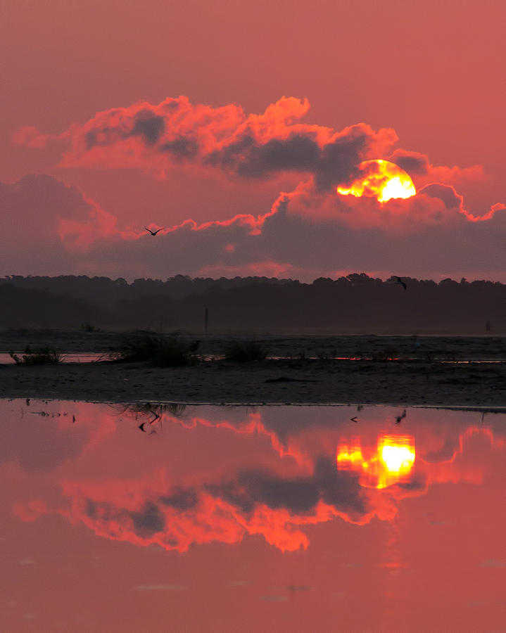 Pink Sunrise Photograph by Alan Raasch