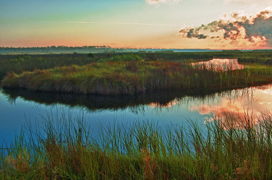 Pink Swamp Sunrise Digital Art by Michael Thomas