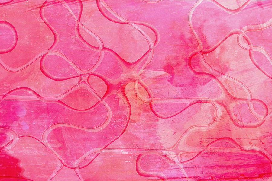Pink Swirls Photograph by Bonnie Bruno