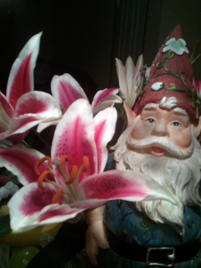 Lily Photograph - Pink Tiger Lily Gnome by Karl Reid