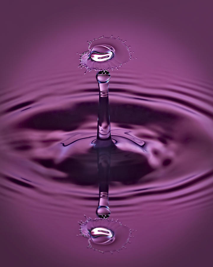 Pink Water Art Photograph by Susan Candelario