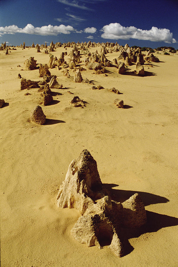 Pinnacle Formations In Nambung National Photograph by Gerry Ellis