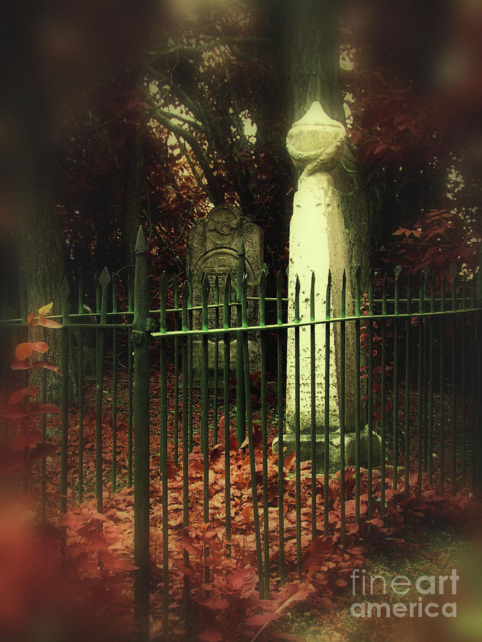 Fall Photograph - Pioneer Cemetery by Andrea Kollo