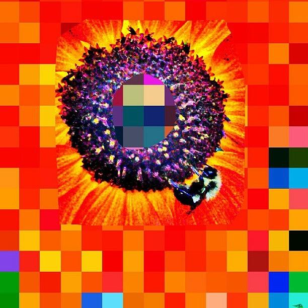 Sunflower Photograph - #pixelate My #sunflower.  #orange by Antonio DeFeo